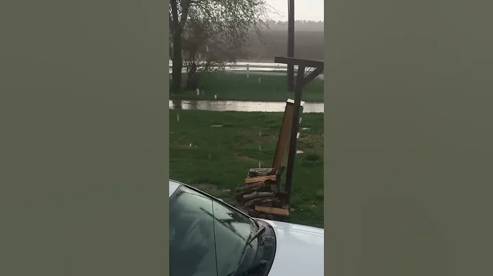 Kimberly Perry-Dicus sent this video: "We have hai...