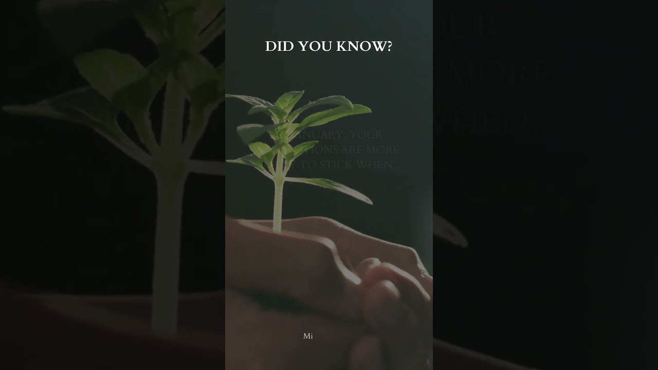 "Resolution Power: Boost Your Success by Sharing Goals! 🌟🤝 