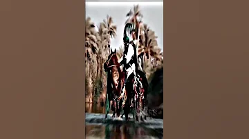 زينب تحشم اخوها فوت بيهم ياشهم 