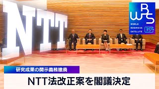 NTT法改正案を閣議決定　研究成果の開示義務撤廃【 WBS 】（2024年3月1日）