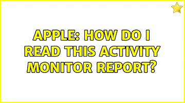Apple: How do I read this Activity Monitor report?
