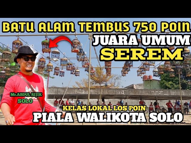 EDYAAN Perkutut BATU ALAM GACOR DOOR😱Sesi Lokal los poin‼️Lomba perkutut lokal PIALA Walikota Solo🥰 class=