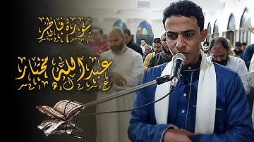 سورة فاطر كاملة |تلاوة مرئية