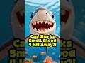 Can Sharks Smell Blood 4 Km Away?! #shark #sciencefacts #sharkfacts #ocean #marine #animals #shorts
