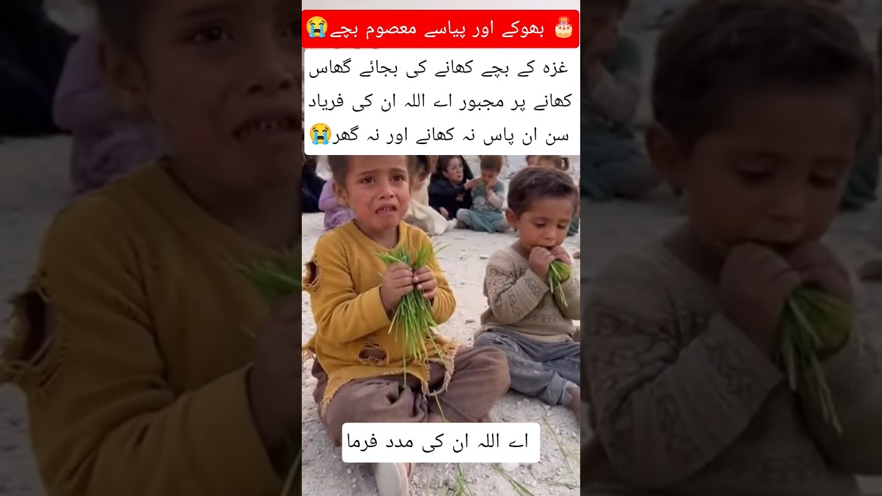 Innocent children forced to eat grass