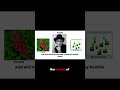 What Makes Each Biome Unique in Minecraft Part 6 #minecraft #ranking #tierlist #shorts #gaming