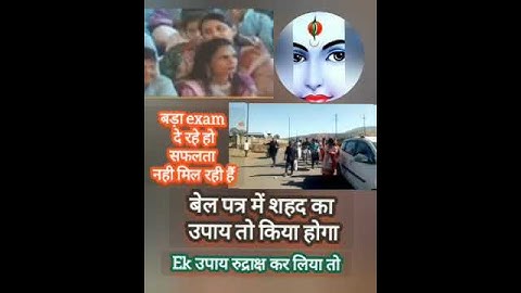 #shorts शहद और बेलपत्र का उपाय तो हैं रुद्राक्ष का उपाय क्या किया है