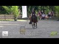 Speedtrail Anna Laukemper & Starlight Smart Mimi - DM Working Equitation 2019