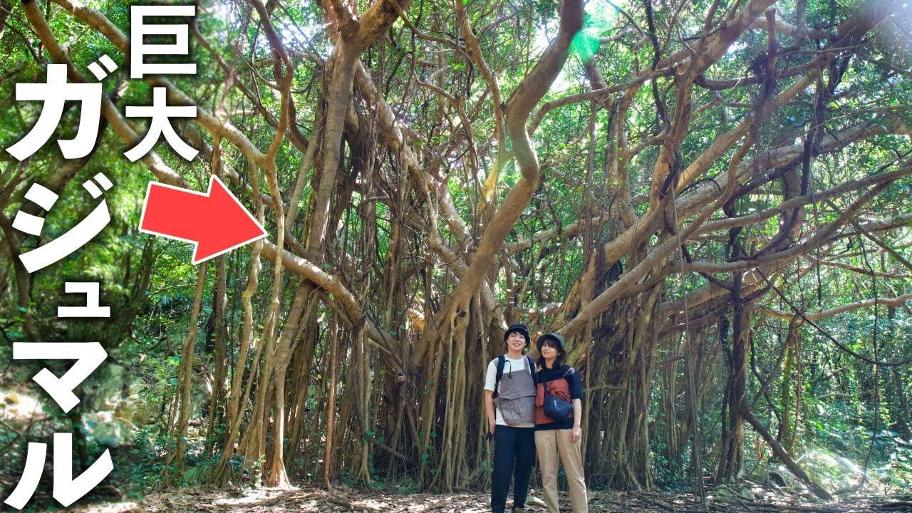 Всемирное природное наследие | Пораженный красотой природы | Северная Окинава, Япония