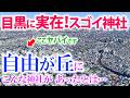 ⚠️【最強開運神社】が目黒区に実在?鳥肌たつほどの波動の場所を見つけました