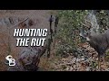 The Whitetail Rut Is Heating Up | Classic Northeastern Deer Hunting | Sea Bucks