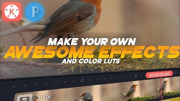 Make Your Own Effects And Color Luts For Kinemaster | E Steps