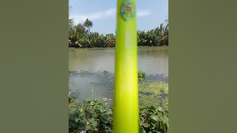 [Lvptivi] câu cá tra ở Gò Công (tập 2)(2)