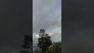 Anak Smp Berulah Lagii ........ Pargoyy