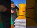 Pine nuts harvest #trending #shorts