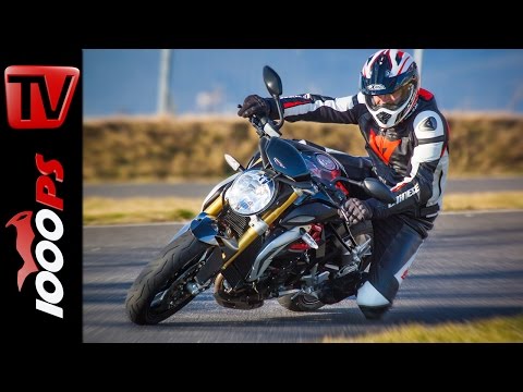 2015 | MV