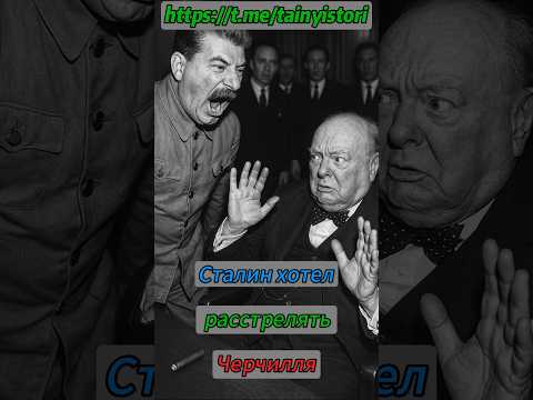 Сталин хотел расстрелять Черчилля #shorts #история