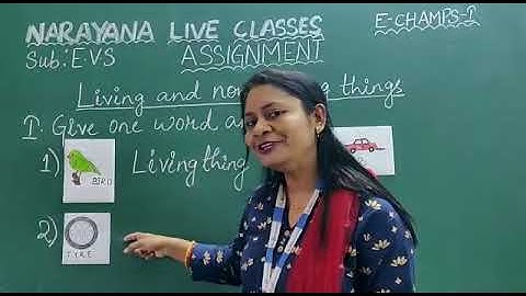 METROS CLASS I EVS ASSIGNMENT VIDEO DAY 6  PART I