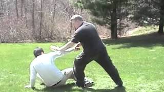 Some Single Whip Applications