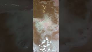 Lush Peach Emoji Demo