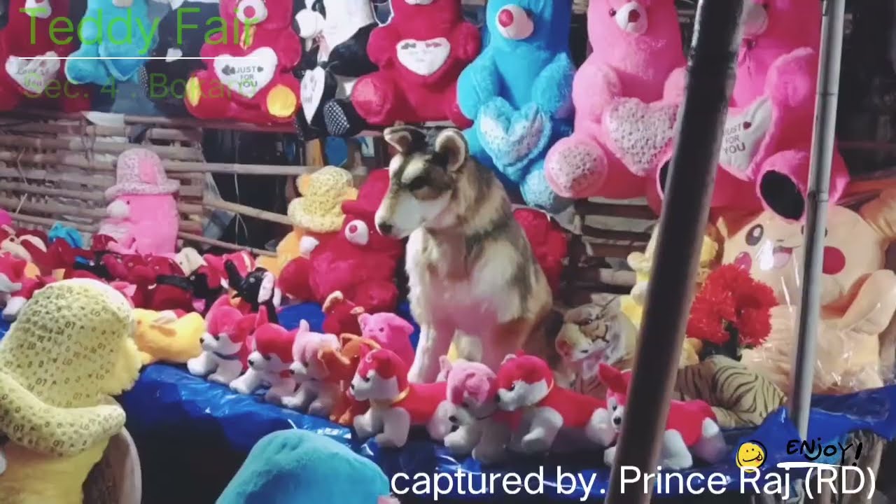 Teddy mela. Sec 4 Bokaro