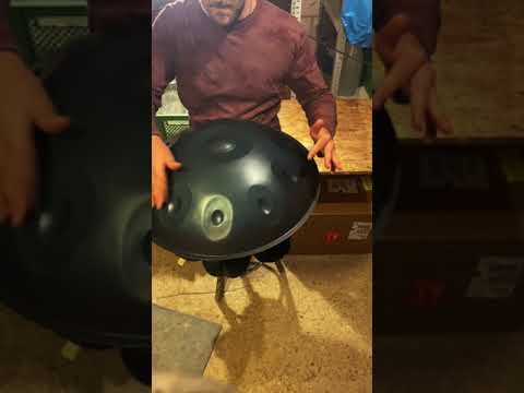 Handpan D Kurd 9+1 (D Minor)
