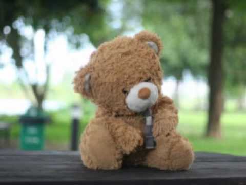 ไม่เคยจะห่างกัน bear mv