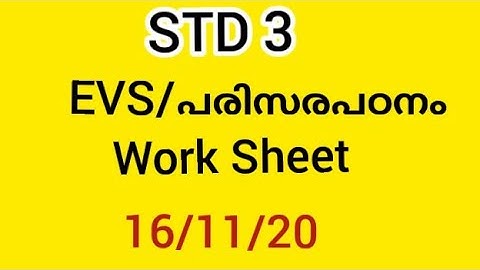 KITE VICTERS STD 03 Environmental studies class Work Sheet November 16 | STD 3 പരിസര പഠനം