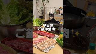 みんなで食べる焼肉が幸せすぎた #豆柴 #柴犬 #mameshiba #shiba