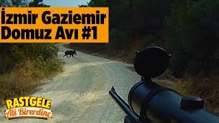 İzmir Gaziemir Domuz Avı 1.Bölüm Rastgele Ali Birerdinç Yaban Tv