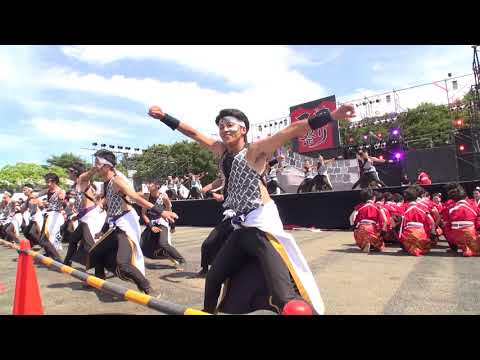 岡山うらじゃ連　蓮雫　こいや祭り 2017 メイン会場