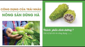 Khám Phá 10 Công Dụng Tuyệt Vời Của Trái Nhàu Với Sức Khỏe