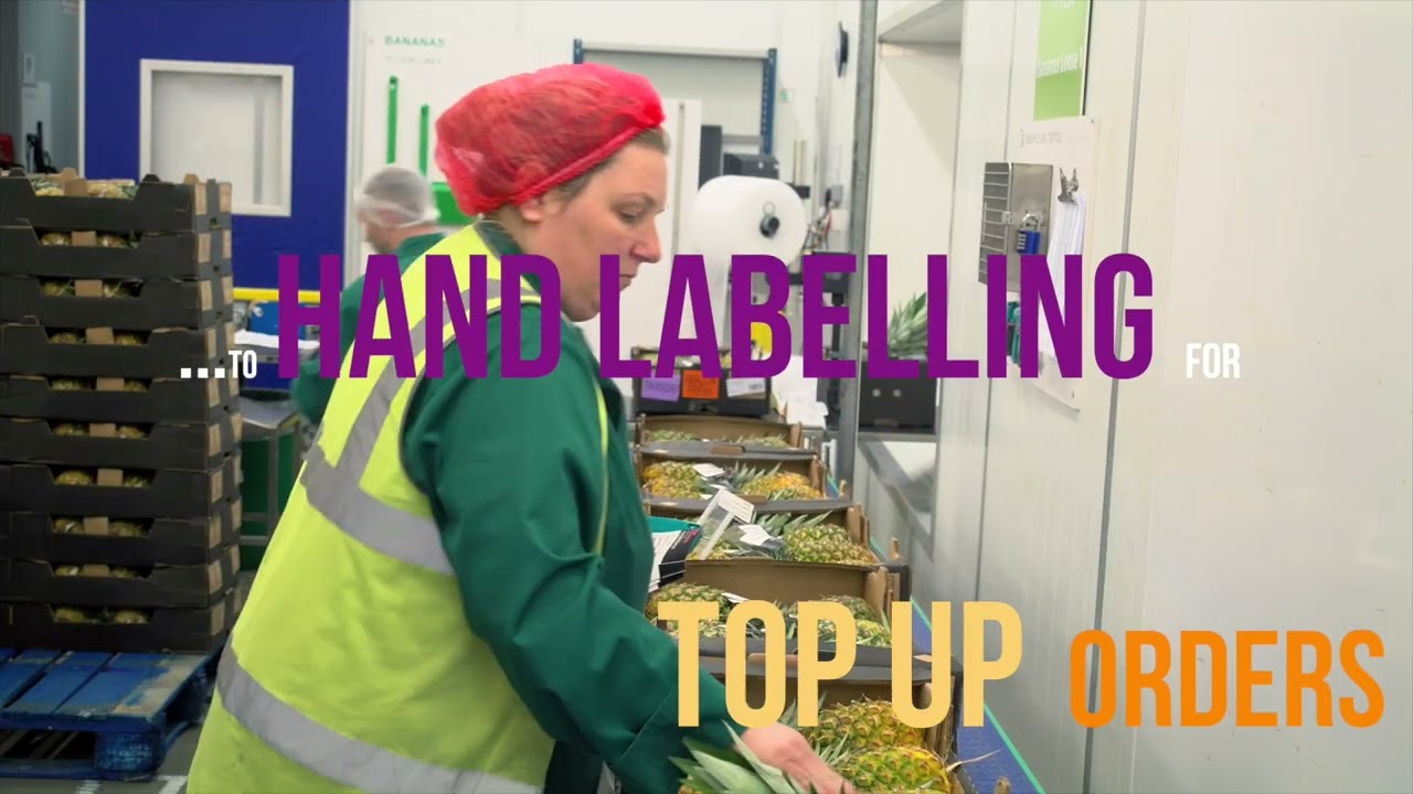 Fresh Plus - a Virtual Tour through fruit & vegetable distribution centre UK
