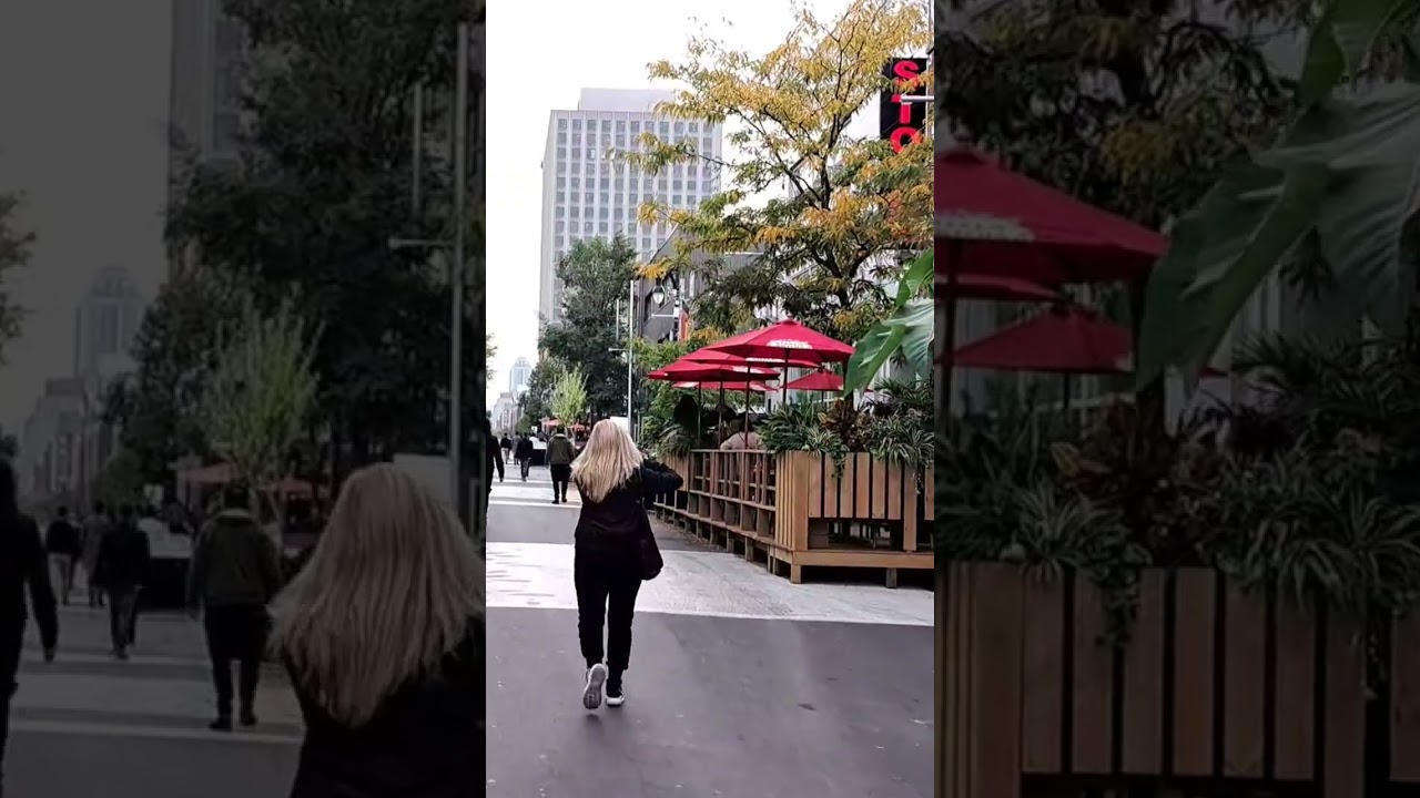 Sainte Catherine street 