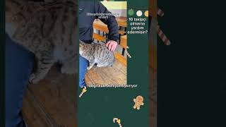 Vidroda Yanlış Yazmışım 20 Takipçi Olmama Yardım Edermisiniz Yazacaktım