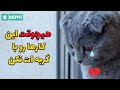 10 کاری که دل گربه ات رو بدجور میشکنه 