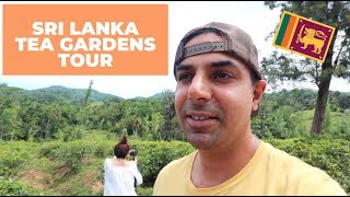 Full SRI LANKA TRAVEL TO KANDY  TEA GARDENS 🌿 PART 3 Update