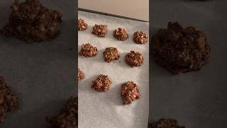 Muzlu Kakaolu Ballı Yulaf Topları