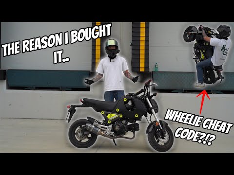 Why I Bought A 125cc Honda Grom..