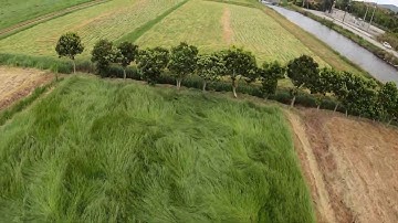 betaflight rpm filter test flight