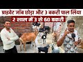 30 बकरी बेचा  30 फार्म पर है😲2 साल पहले प्राइवेट जॉब छोड़कर मात्र 3 बकरी से शुरू किया था Goat Farming