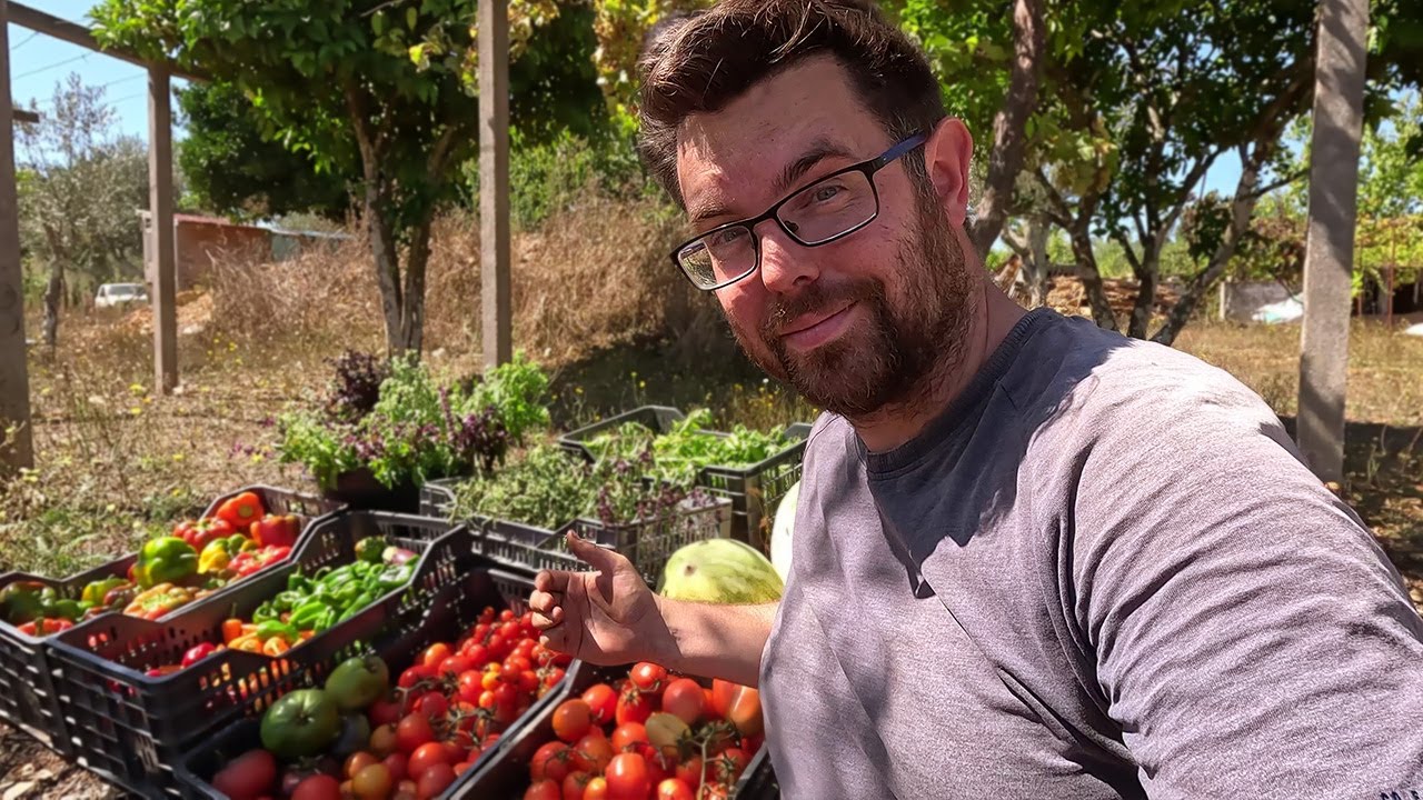 Abundant Harvests in our No Dig Garden in Portugal - End of Summer Tour 2023