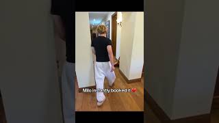 Milo Instantly Booked It Sub