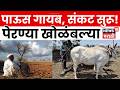 Chandrapur News | मान्सून लांबणीवर; पेरण्या खोळंबल्या | N18V