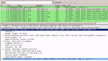 Sample IPv4 Headers in Wireshark