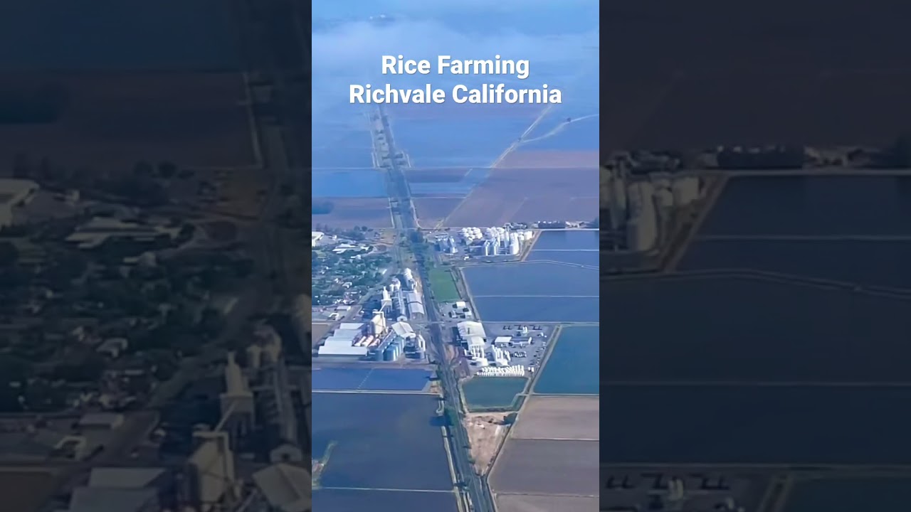 Rice Farm Land Richvale California. 