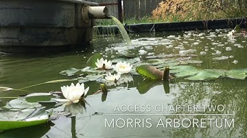 Access Chapter Two