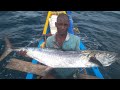 Monster king fish catched video in offshore