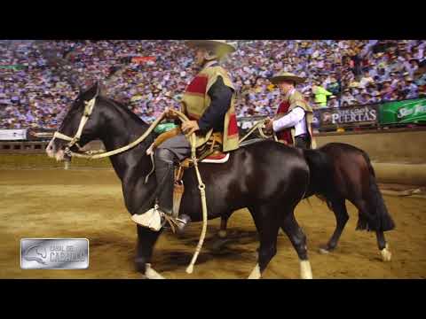 Final 71 Campeonato Nacional de Rodeo 2019