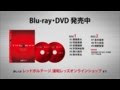 「THE WAY これまで歩んできた道…これから歩む道…」Blu-ray/DVDの発売中！